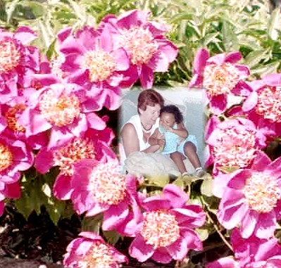 img18familyroses.jpg